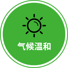 vege_4_1