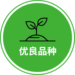 vege_4_4